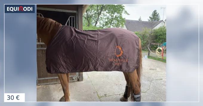 Bon Plan Chemise pour cheval