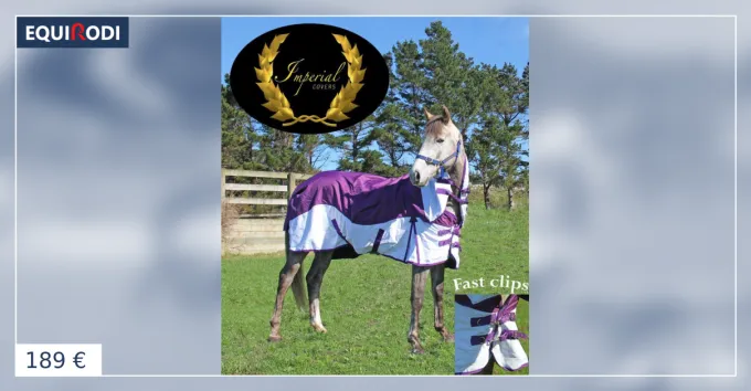 Imperial Equestrian Supplies Must-Have