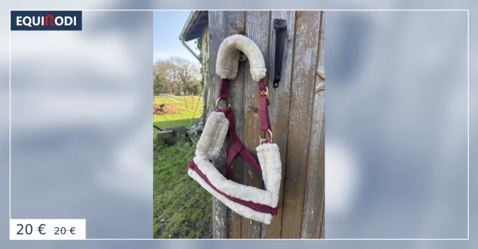 Offre Spciale Licol shetland