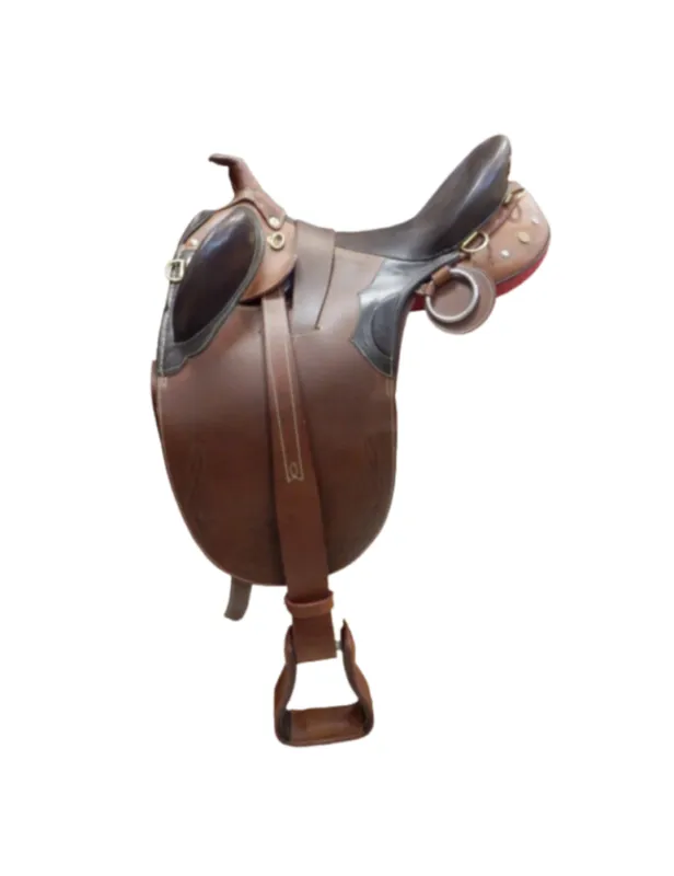 Acheter Direct Selle australienne SB - 17''