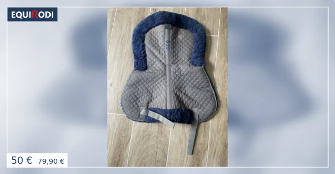 Amortisseur de dos CSO bleu Satisfait Ou Rembours
