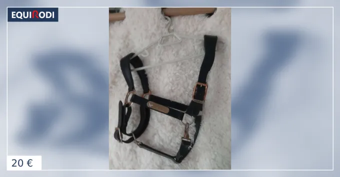 Acheter En Ligne Licol en cuir