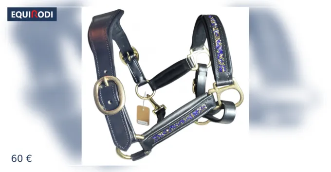 Licol en cuir Affaire Saisir