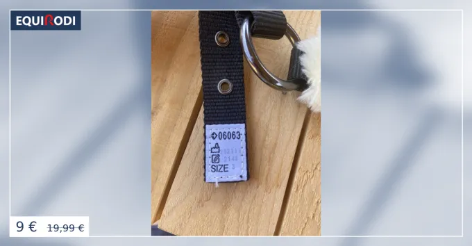 Licol mouton Expdi Aujourdhui