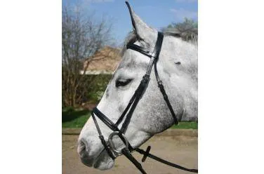 Filet en cuir muserolle combine gamme Epsilon - Noir - cheval Populaire