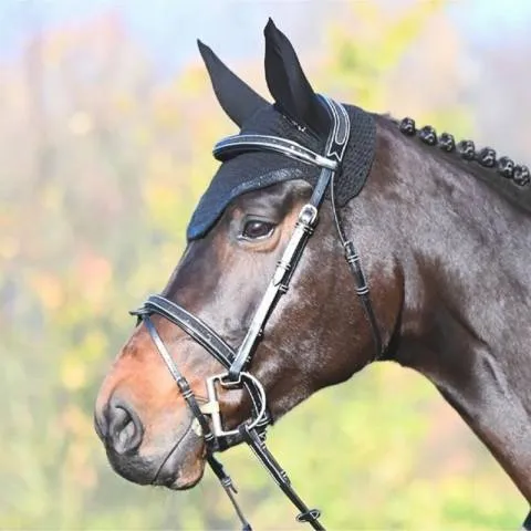 Prix Bas Bridon Carat - Collection One Premium - Jump'in - Cob - Havane cristal marine