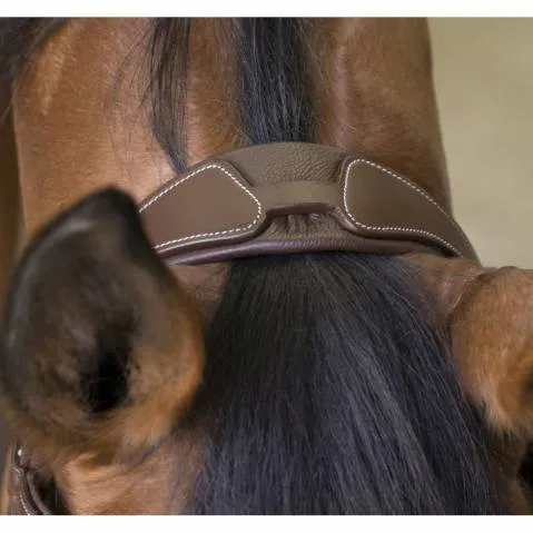 Dernier Modle Bridon Pro Rock Marron - Norton - Cheval