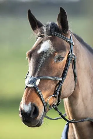 Bridon Mexican HFI - NOIR - COB Nouveaut