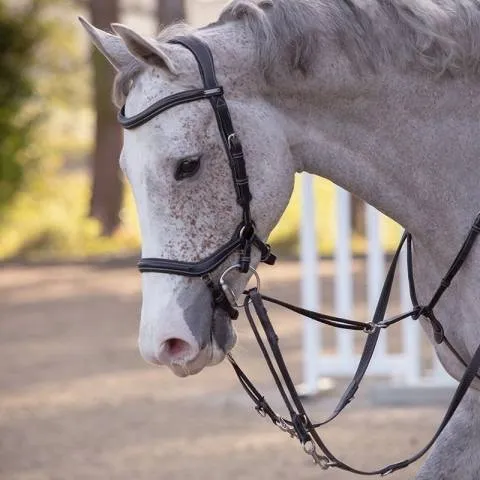 Vente Flash Enrnement Howlett - Jump'in - Full - Noir