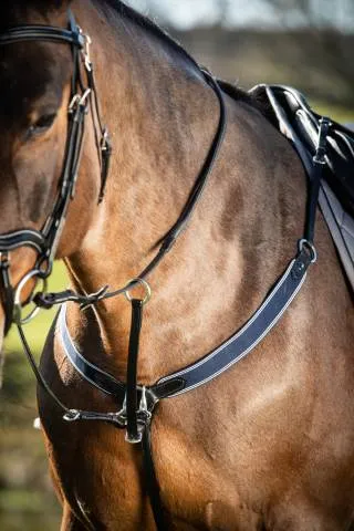 Achetez Aujourdhui Collier de chasse lastique avec martingale noir / marine HFI – NOIR/MARINE – COB