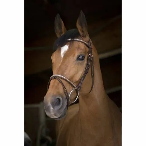 Bridon Clincher Rose Gold – Norton – Cheval Soldes