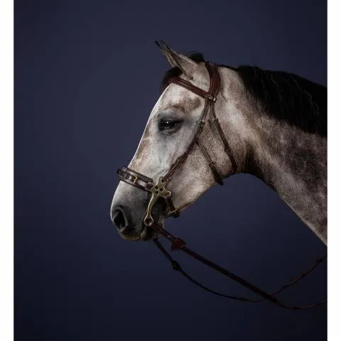Meilleur Choix Bridon pour hackamore New English Collection - Dy'on - Noir - double poney