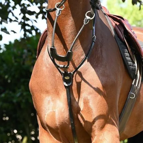 Acheter En Ligne Martingale lastique anneaux - Jump'in - Full - Noir