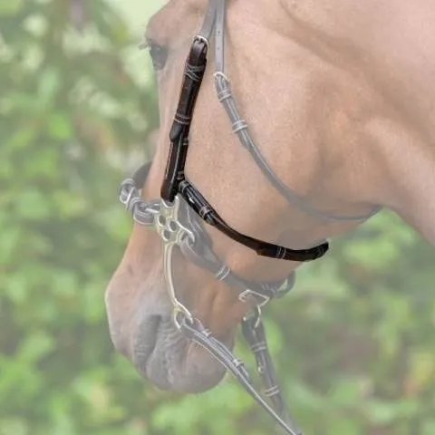 Montants et lanire pour hackamore - Collection Week - Jump'in - Full - Havane Offre Limite
