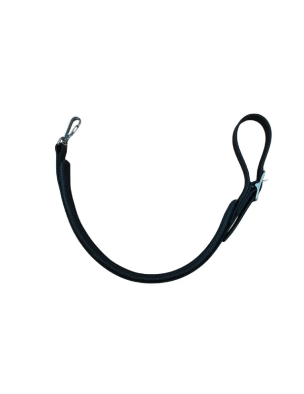 Populaire Fausse martingale en biothane – poney