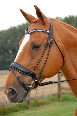 Bridon dressage Dy'on muserolle combine large - Noir - double poney Nouvelle Collection