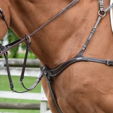 Must-Have Collier de chasse cinq points et martingale - Jump'in - Cob - Noir