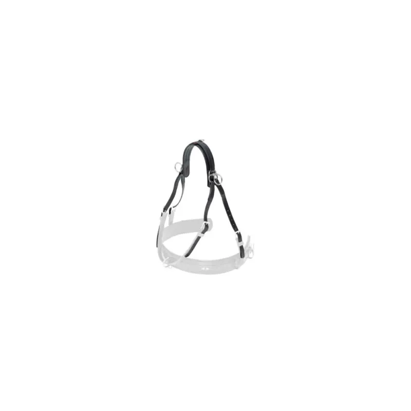 Seulement Aujourdhui Surcou Classic – ZILCO – poney