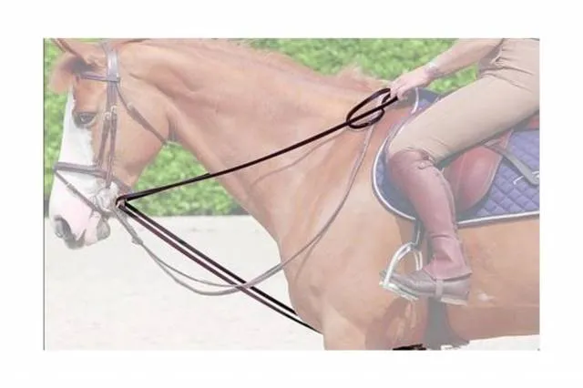 Rnes allemandes en cuir – Dy&rsquo;on Collection – brun – cheval Vente Flash