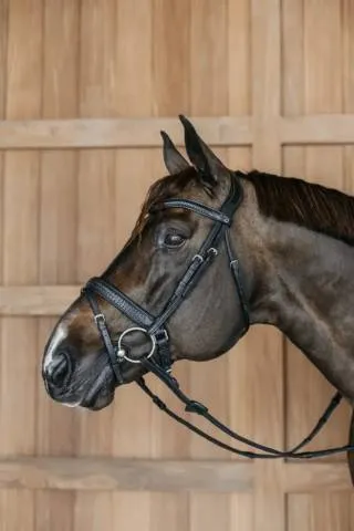 Meilleur Prix Bridon muserolle pull back tresse - Dy'on - Marron - Cob