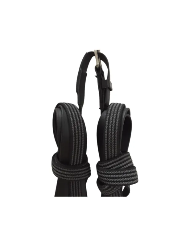 Pas Cher Guides en paire en biothane - noir - shetland - Tout biothane