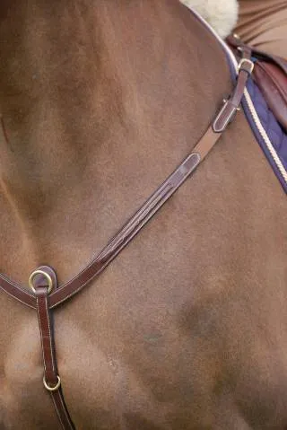 Livraison Gratuite Collier de chasse cuir fancy Dy&rsquo;on collection – Noir – cheval