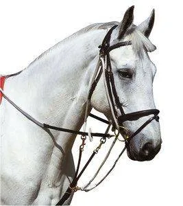 Promotion Saisonnire Gogue poulies Marron - Norton - Poney - Havane