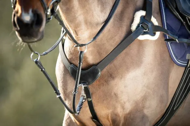 Collier de chasse 5 points HFI - NOIR - COB Dernire Chance