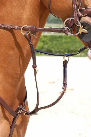 Satisfait Ou Rembours Fourchette de martingale a anneaux Dy'on collection - Noir - double poney