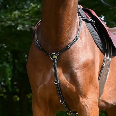 Collier de chasse Monday - Collection Week - Jump'in - Cob - Acajou Bon Plan