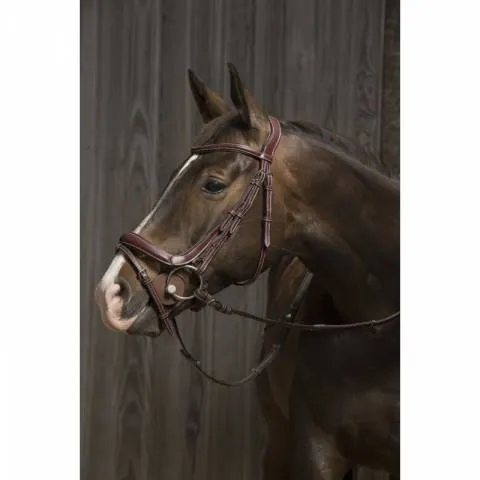 Offre Spciale Bridon Lyon Duo - Protanner - Noir - Cheval