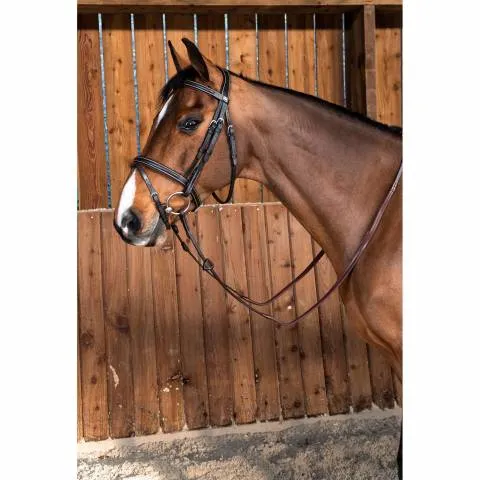 Bridon classic Dy&rsquo;on working collection muserolle combine – Noir – poney Prix Rduit