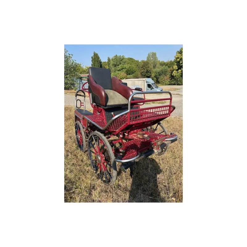 Holland 350 Glinkowski occasion Authentique