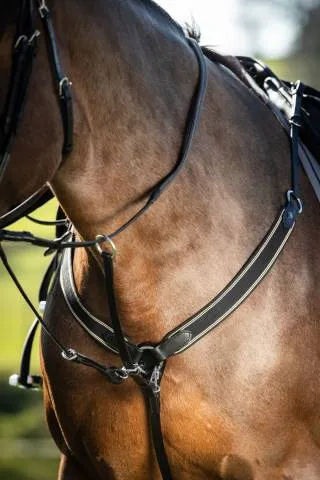 Collier de chasse lastique avec martingale noir / noir HFI - NOIR/NOIR - COB Rduction