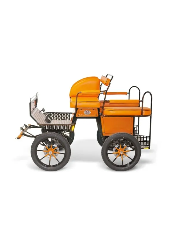 Achetez Aujourdhui Mixte 110/115 – Glinkowski