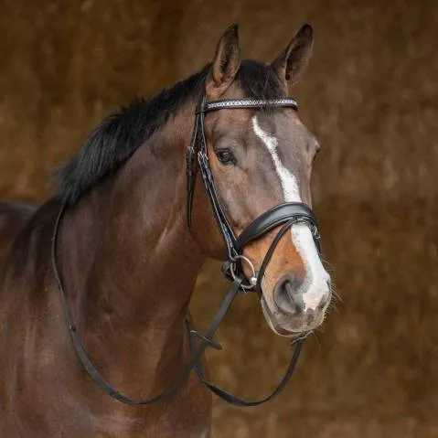 Bridon Drops – Harry&rsquo;s Horse – Noir – Poney Vente Directe