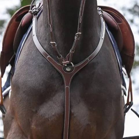 Meilleure Vente Collier de chasse Clincher et martingale – Collection One Premium – Jump in – Cob – Havane