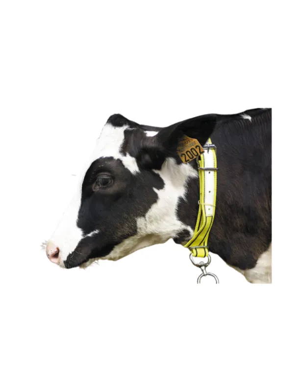 Offre Du Jour Collier veau en nylon – KAMER – jaune / noir