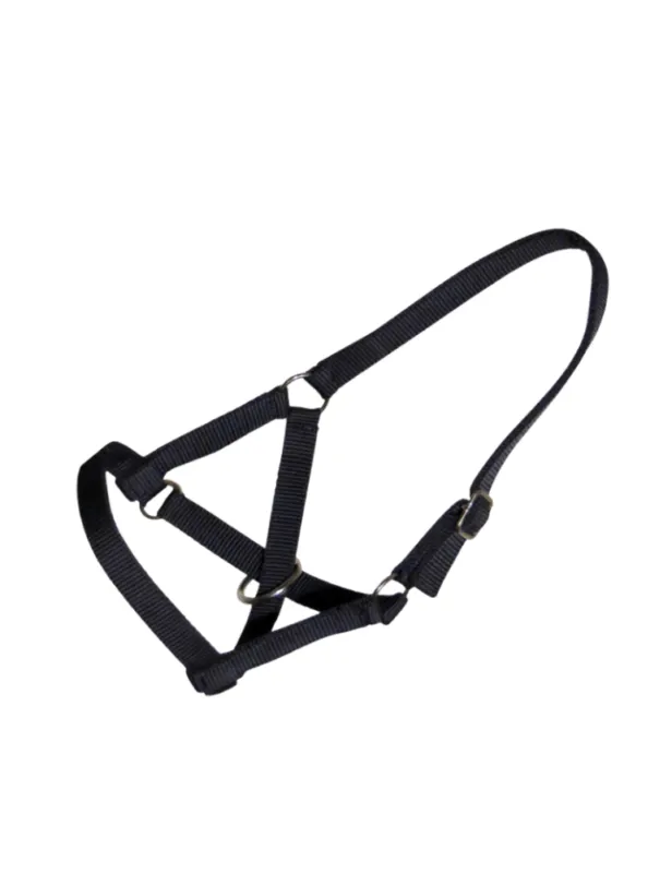 Licol nylon lama – SB – marron Achat Immdiat