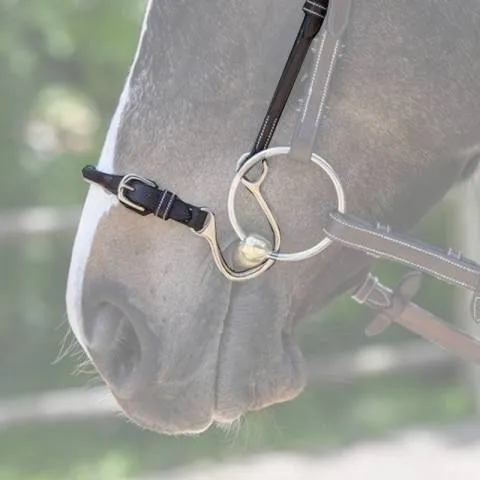Offre Du Jour Muserolle Kineton - Jump'in - Full - Havane