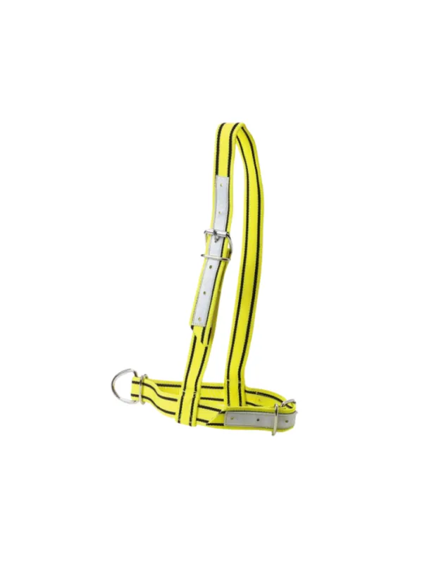 Offre Spciale Licol taureau – KAMER