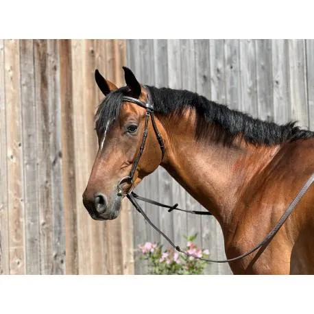 Must-Have Bridon anatomique sans muserolle Essentiel Confort – TdeT – Marron – Poney