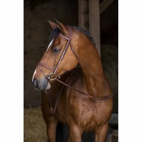 Bridon Eric Thomas Hybrid Confort - Full Size Pas Cher