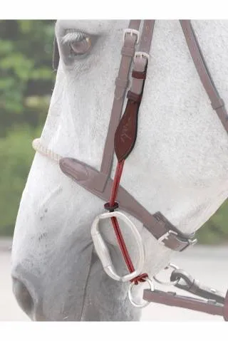 Achetez Aujourdhui Montants de releveur corde fine Dy&rsquo;on New English Collection – brun – poney