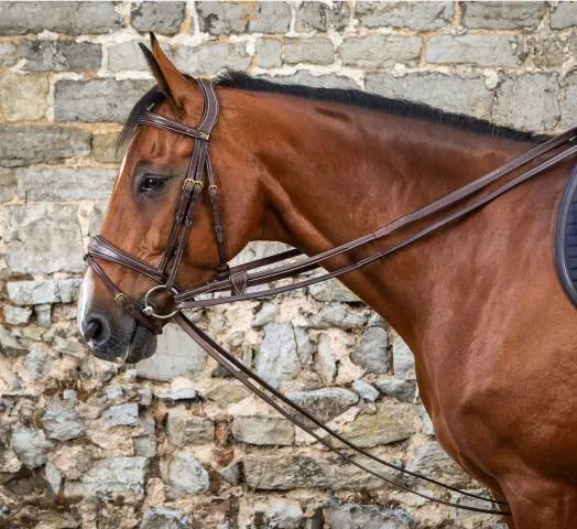 Rnes allemandes en cuir 1/2 - Dy'on - Noir - Cheval Acheter Direct