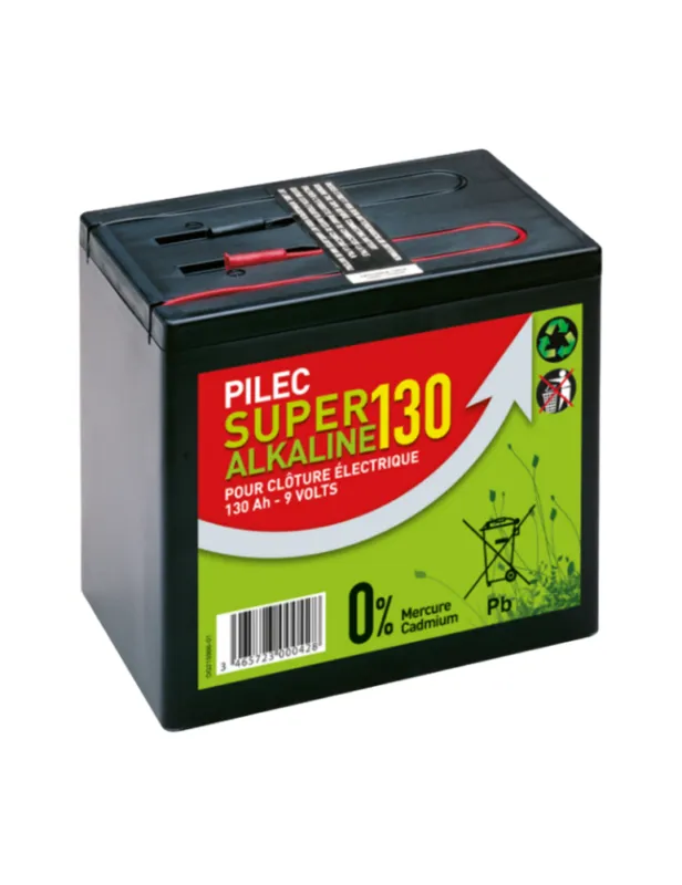 Pile alcaline 170 AH Dernire Chance