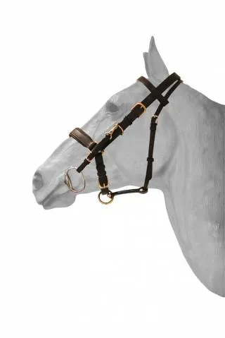Expdi Aujourdhui Bridon/licol combine cuir - HFI - cuir noir - NOIR - COB
