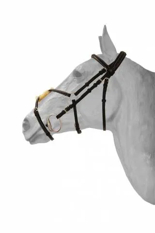 Bridon mexicain Diamond - HFI - muserolle avec swarovski - NOIR - COB Commande En Gros