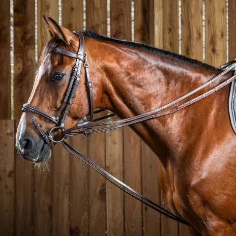 Rnes allemandes en cuir hunter et grip Working Collection – Dy&rsquo;on – Noir – cheval Authentique