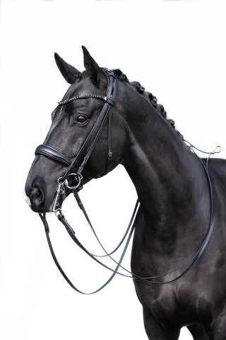 Vente Flash Bride de dressage Grace - HKM - Cuir avec strass - Full